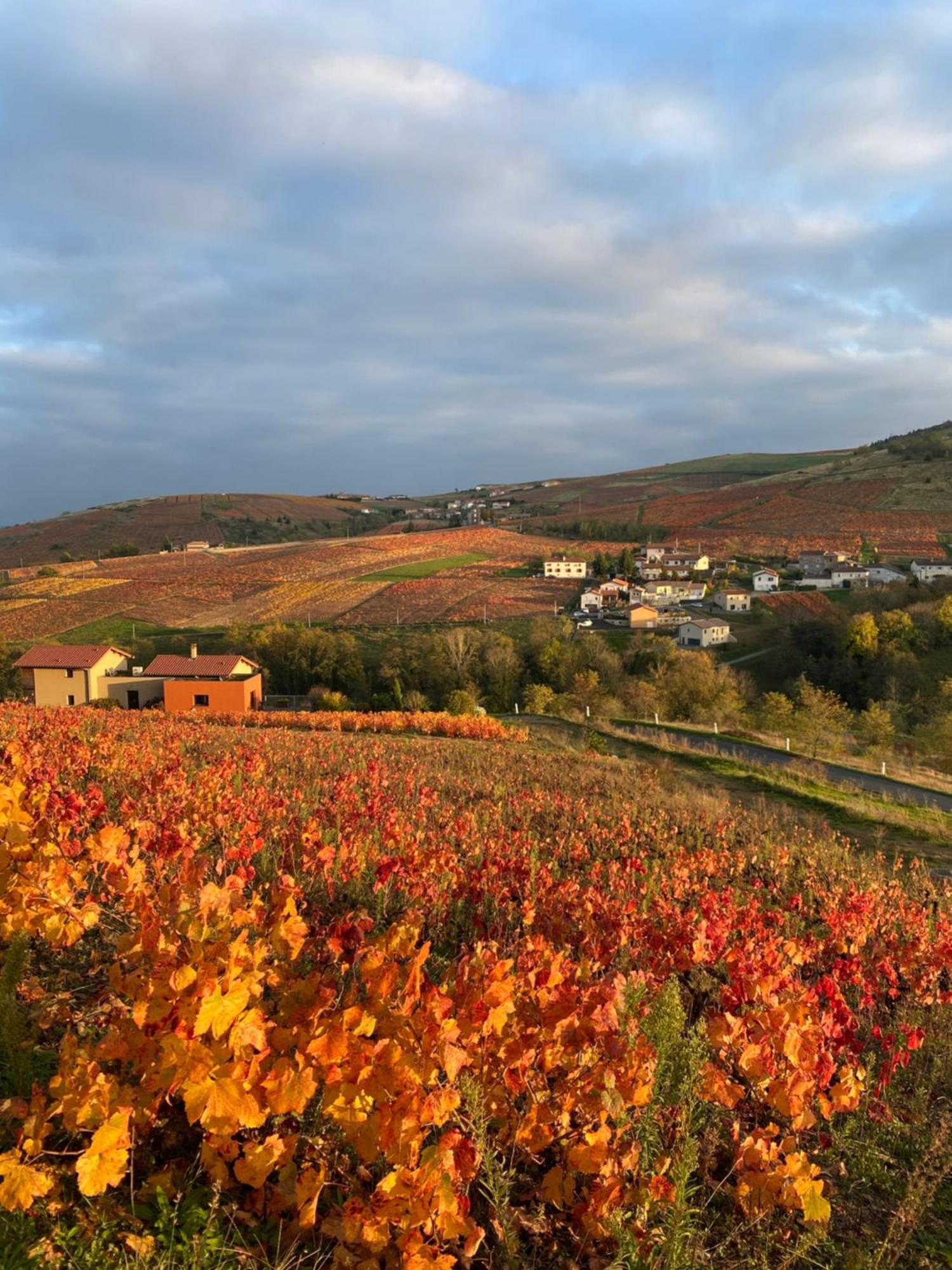 Les Agapanthes Bed and Breakfast Vaux-en-Beaujolais Eksteriør billede