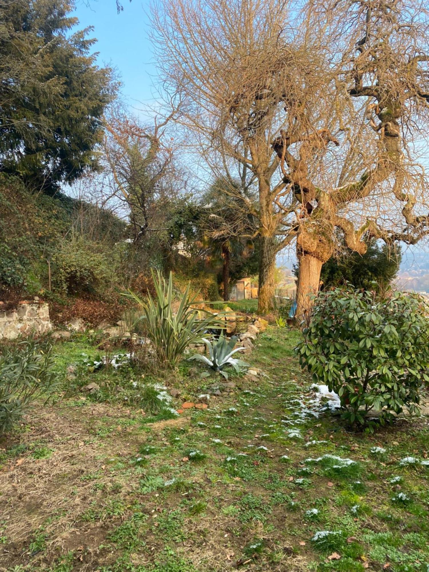 Les Agapanthes Bed and Breakfast Vaux-en-Beaujolais Eksteriør billede